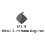 Mitsui Sumitomo Seguros